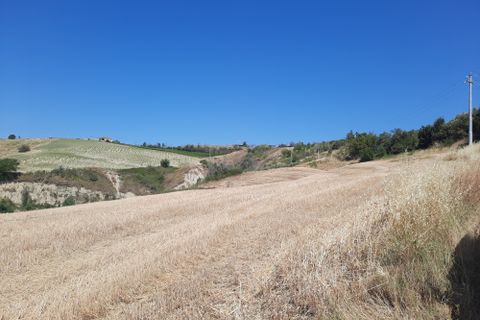 Erhvervsejendom i Offida, Ascoli Piceno, Offida - € 120.000 | Ref: 6706 - foto 6