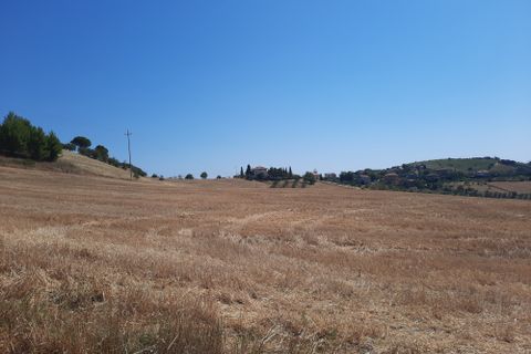 Erhvervsejendom i Offida, Ascoli Piceno, Offida - € 120.000 | Ref: 6706 - foto 7