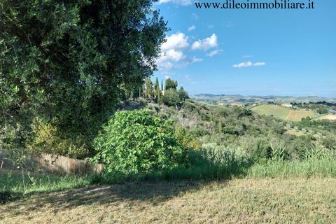 Villa a Castorano, Ascoli Piceno, Castorano - € 250.000 | Ref: 6742 - foto 5