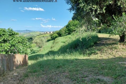 Villa a Castorano, Ascoli Piceno, Castorano - € 250.000 | Ref: 6742 - foto 23