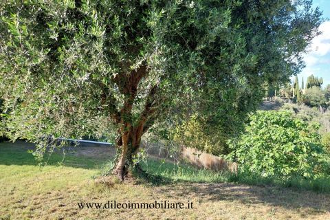 Villa a Castorano, Ascoli Piceno, Castorano - € 250.000 | Ref: 6742 - foto 24