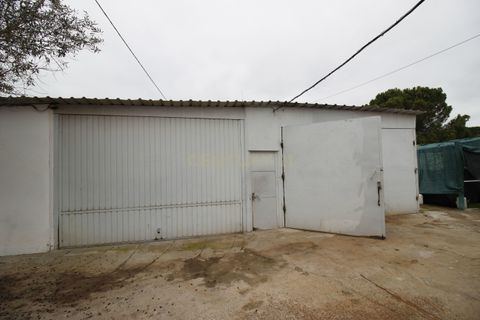 Farm hus i Mora, Evora, Mora - € 490.000 | Ref: C0420-00069 - foto 26
