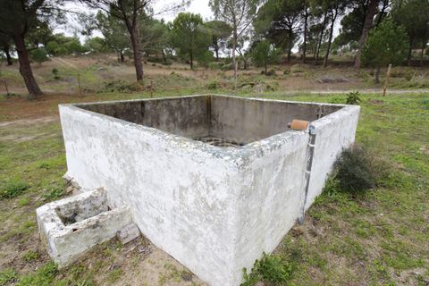 Farm hus i Mora, Evora, Mora - € 490.000 | Ref: C0420-00069 - foto 27