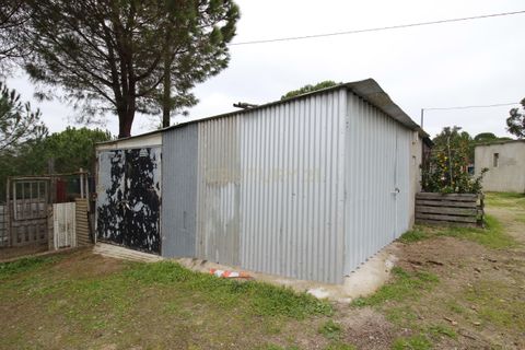 Farm hus i Mora, Evora, Mora - € 490.000 | Ref: C0420-00069 - foto 28