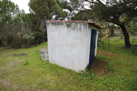 Farm hus i Mora, Evora, Mora - € 490.000 | Ref: C0420-00069 - foto 29