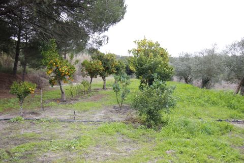 Farm hus i Mora, Evora, Mora - € 490.000 | Ref: C0420-00069 - foto 30