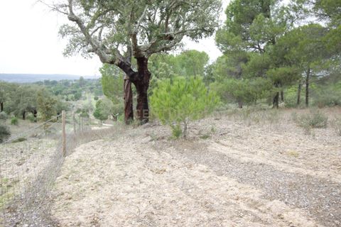 Farm hus i Mora, Evora, Mora - € 490.000 | Ref: C0420-00069 - foto 32