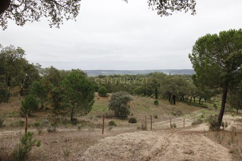 Farm hus i Mora, Evora, Mora - € 490.000 | Ref: C0420-00069 - foto 33