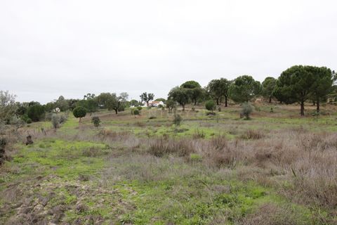Farm hus i Mora, Evora, Mora - € 490.000 | Ref: C0420-00069 - foto 35