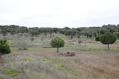 Farm hus i Mora, Evora, Mora - € 490.000 | Ref: C0420-00069 - foto 36