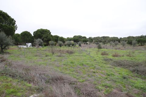 Farm hus i Mora, Evora, Mora - € 490.000 | Ref: C0420-00069 - foto 37