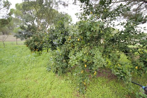 Farm hus i Mora, Evora, Mora - € 490.000 | Ref: C0420-00069 - foto 38