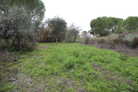 Farm hus i Mora, Evora, Mora - € 490.000 | Ref: C0420-00069 - foto 40