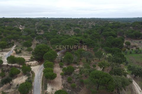 Farm hus i Mora, Evora, Mora - € 490.000 | Ref: C0420-00069 - foto 41