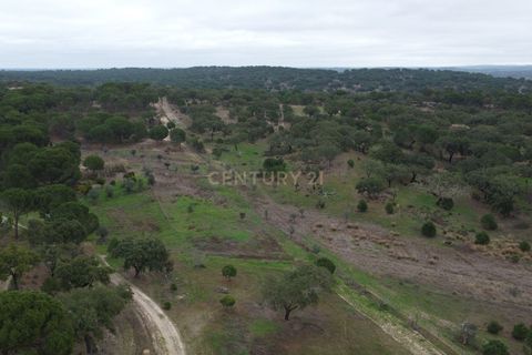 Farm hus i Mora, Evora, Mora - € 490.000 | Ref: C0420-00069 - foto 42