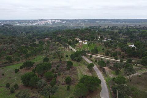 Farm hus i Mora, Evora, Mora - € 490.000 | Ref: C0420-00069 - foto 43