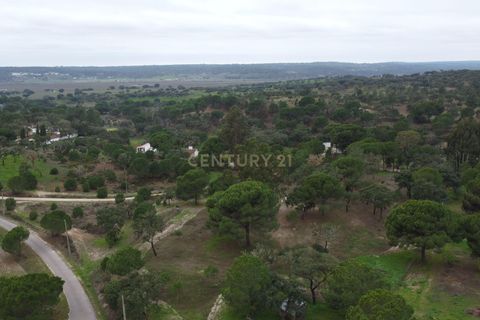 Farm hus i Mora, Evora, Mora - € 490.000 | Ref: C0420-00069 - foto 44