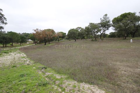 Farm hus i Mora, Evora, Mora - € 490.000 | Ref: C0420-00069 - foto 45
