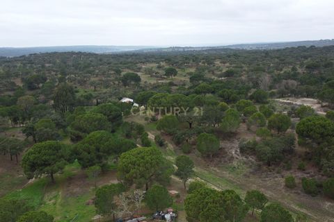 Farm hus i Mora, Evora, Mora - € 490.000 | Ref: C0420-00069 - foto 46
