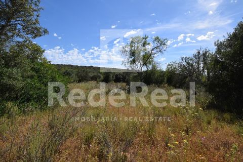 Tomt i Benafim, Faro, Benafim - € 35 000 | Ref: 021240038 - foto 2