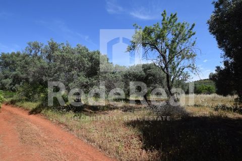 Tomt i Benafim, Faro, Benafim - € 35 000 | Ref: 021240038 - foto 4