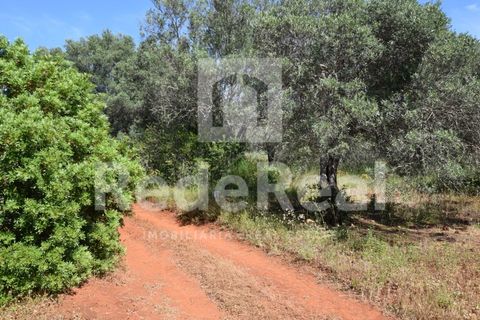 Tomt i Benafim, Faro, Benafim - € 35 000 | Ref: 021240038 - foto 5