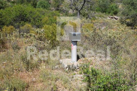 Tomt i Benafim, Faro, Benafim - € 35 000 | Ref: 021240038 - foto 6