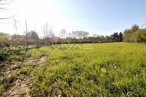 Helårsgrund i Vila Verde, Braga, Vila Verde - € 100.000 | Ref: 037-0264 - foto 3