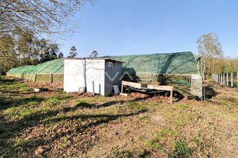 Helårsgrund i Vila Verde, Braga, Vila Verde - € 100.000 | Ref: 037-0264 - foto 6