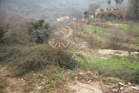 Helårsgrund i Vila Verde, Braga, Vila Verde - € 40.000 | Ref: 037-0516 - foto 2