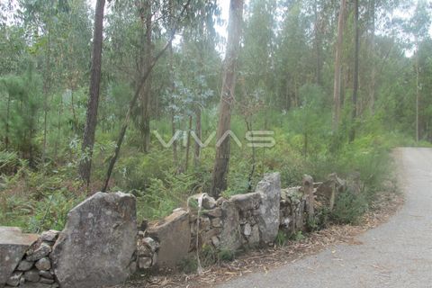 Helårsgrund i Vila Verde, Braga, Vila Verde - € 50.000 | Ref: 037-0829 - foto 1