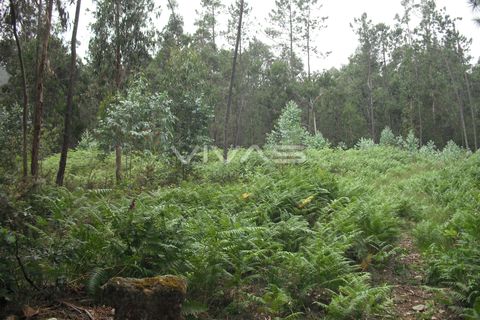 Helårsgrund i Vila Verde, Braga, Vila Verde - € 50.000 | Ref: 037-0829 - foto 4