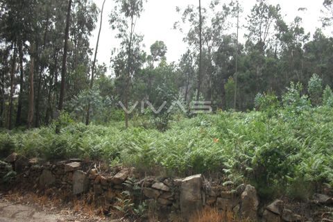 Helårsgrund i Vila Verde, Braga, Vila Verde - € 50.000 | Ref: 037-0829 - foto 5