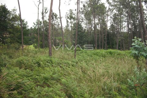 Helårsgrund i Vila Verde, Braga, Vila Verde - € 42.500 | Ref: 037-0830 - foto 3