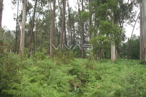 Helårsgrund i Vila Verde, Braga, Vila Verde - € 42.500 | Ref: 037-0830 - foto 4
