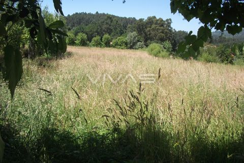 Helårsgrund i Vila Verde, Braga, Vila Verde - € 50.000 | Ref: 037-1252 - foto 4