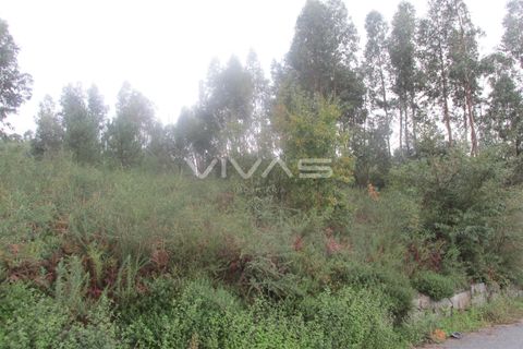 Helårsgrund i Vila Verde, Braga, Vila Verde - € 150.000 | Ref: 037-1705 - foto 2