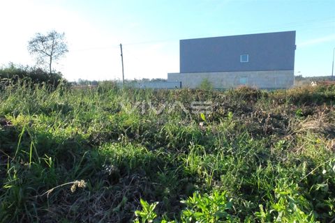 Helårsgrund i Vila Verde, Braga, Vila Verde - € 29.900 | Ref: 037-1808 - foto 3