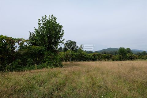 Helårsgrund i Vila Verde, Braga, Vila Verde - € 22.000 | Ref: 037-1926 - foto 3
