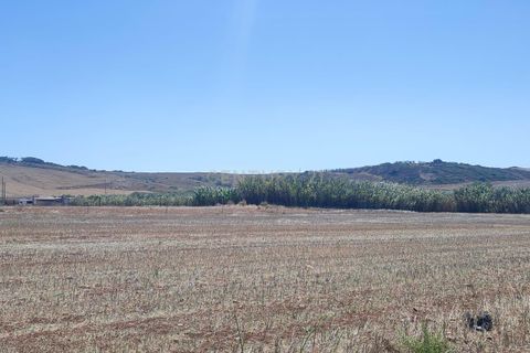 Helårsgrund i Sagres, Faro, Sagres - € 30.000 | Ref: C0369-00463 - foto 5