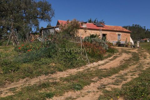 Helårsgrund i Odemira, Beja, Odemira - € 750.000 | Ref: C0369-00552 - foto 1