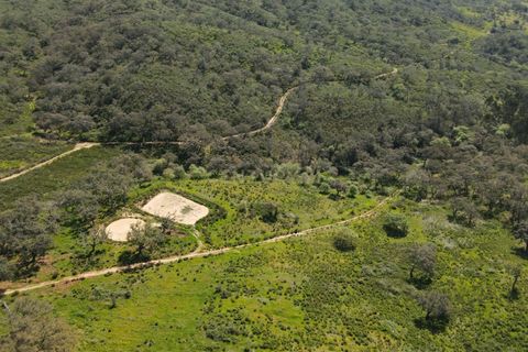 Helårsgrund i Odemira, Beja, Odemira - € 750.000 | Ref: C0369-00552 - foto 4