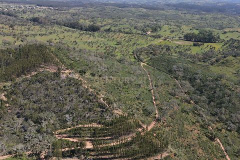 Helårsgrund i Odemira, Beja, Odemira - € 750.000 | Ref: C0369-00552 - foto 12