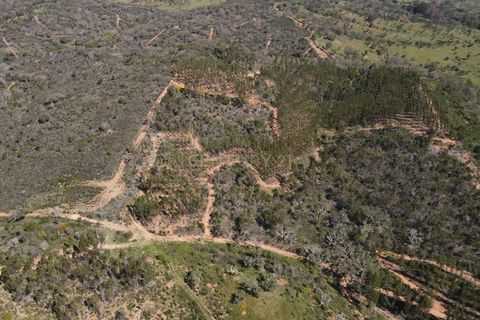 Helårsgrund i Odemira, Beja, Odemira - € 750.000 | Ref: C0369-00552 - foto 13