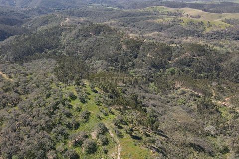 Helårsgrund i Odemira, Beja, Odemira - € 750.000 | Ref: C0369-00552 - foto 16