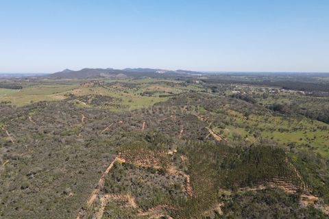Helårsgrund i Odemira, Beja, Odemira - € 750.000 | Ref: C0369-00552 - foto 18