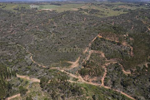 Helårsgrund i Odemira, Beja, Odemira - € 750.000 | Ref: C0369-00552 - foto 20
