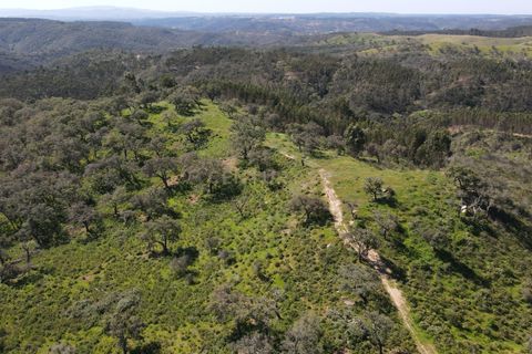 Helårsgrund i Odemira, Beja, Odemira - € 750.000 | Ref: C0369-00552 - foto 21