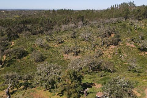 Helårsgrund i Odemira, Beja, Odemira - € 750.000 | Ref: C0369-00552 - foto 23