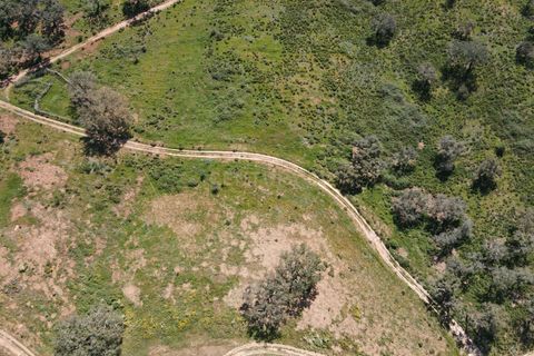 Helårsgrund i Odemira, Beja, Odemira - € 750.000 | Ref: C0369-00552 - foto 24